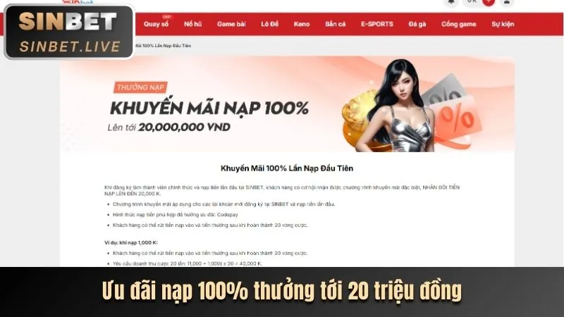 Hoàn trả hàng ngày cho cá cược thể thao